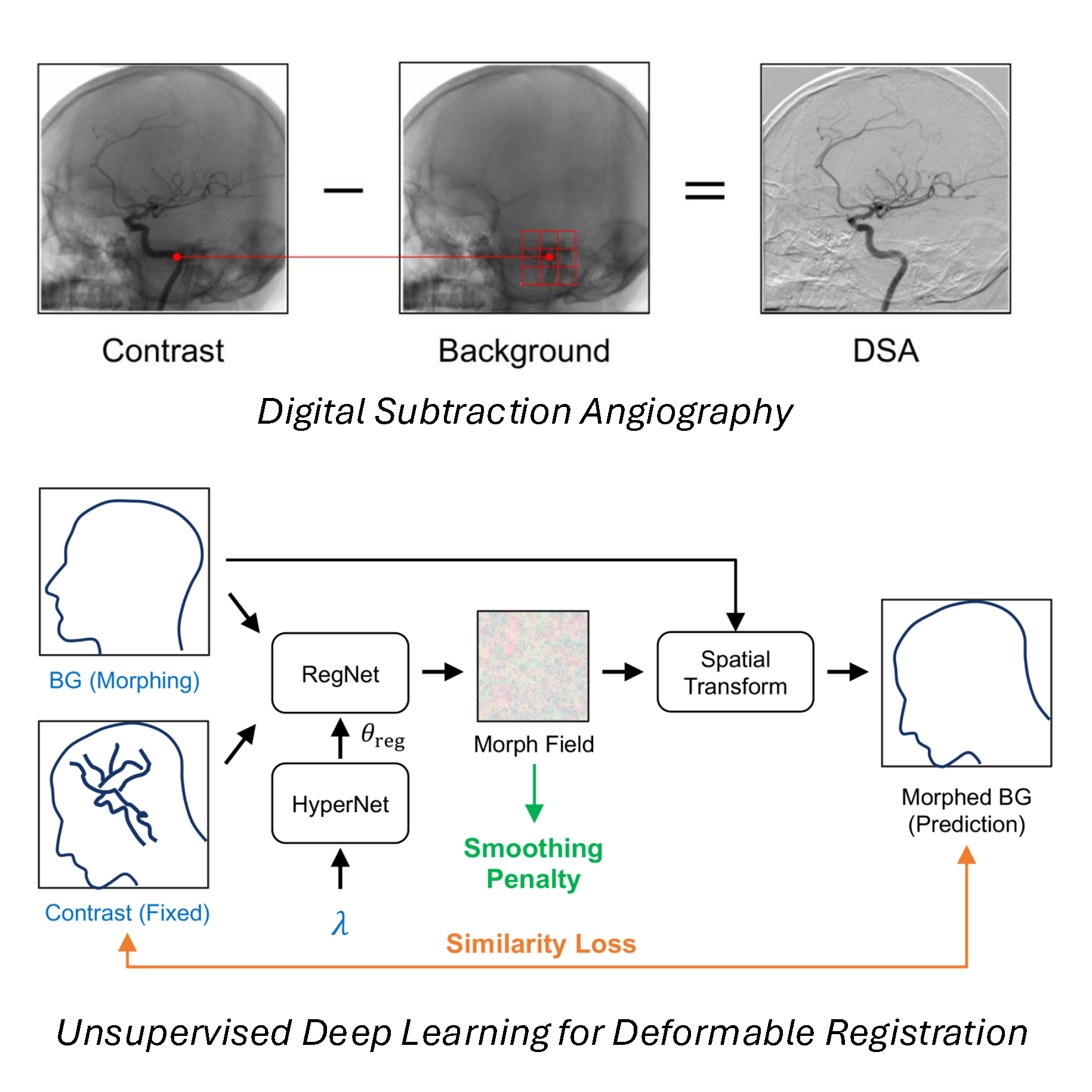 Hypermorph framework